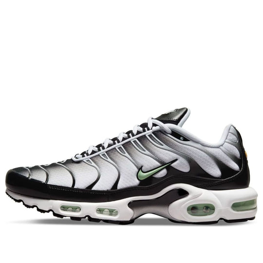 Nike Air Max Plus 'Seafoam' DH4776-100