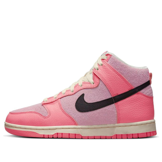 (WMNS) Nike Dunk High 'Hoops Pack' DX3359-600