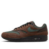 Nike Air Max 1 'Beef & Broccoli' FZ3590-259
