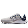 Nike Air Zoom Pegasus 38 'Pewter Grey' DJ0847-001