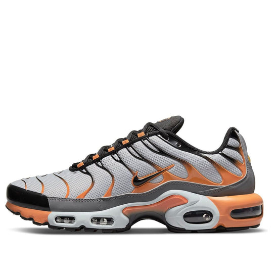 Nike Air Max Plus 'Wolf Grey Hot Curry' DM0032-001