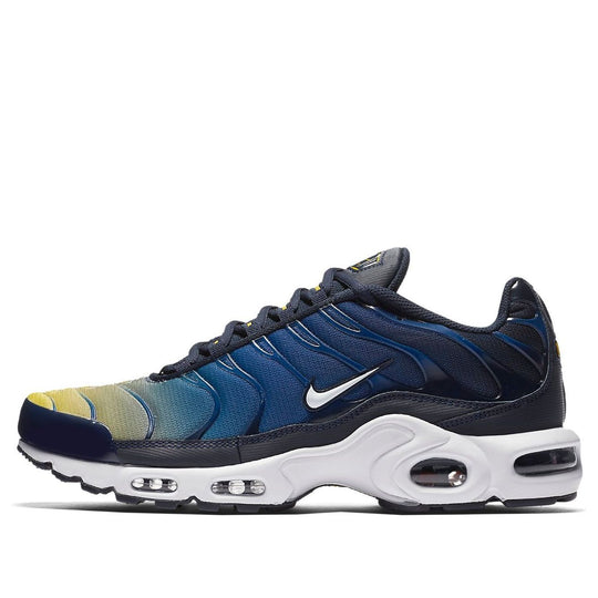 Nike Air Max Plus 'Gradient Pack' 852630-407