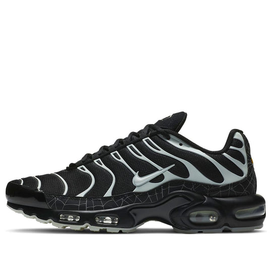 Nike Air Max Plus 'Spider Web' DD4004-001